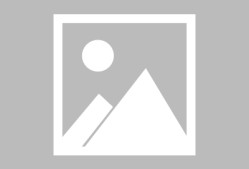 易游yy体育官网-转会期孟菲斯灰熊备战全明星赛；内部沟通细节曝光；质疑声仍在；高层口径保持一致